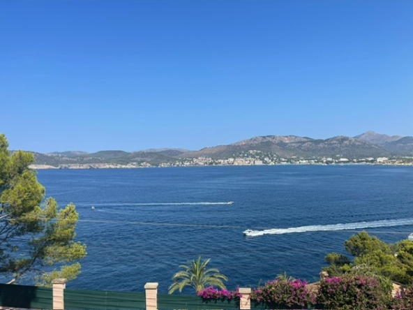 PHOTO-2025-08-21-12-38-05 (13)