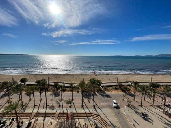 PHOTO-2023-11-10-15-05-42 (5)