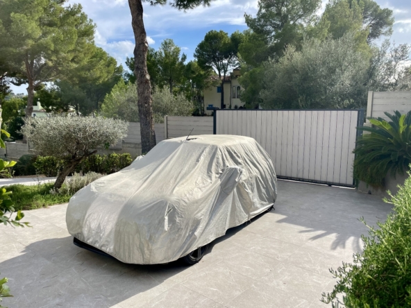 PHOTO-2024-11-16-15-48-50 2