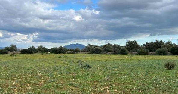 WhatsApp Image 2026-01-16 at 11.30.48.3jpeg