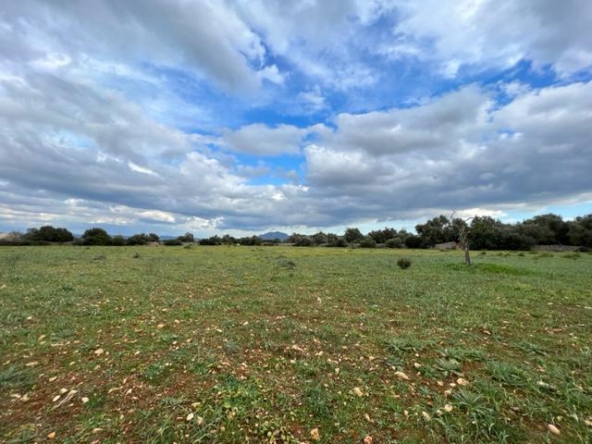 WhatsApp Image 2026-01-16 at 11.30.481