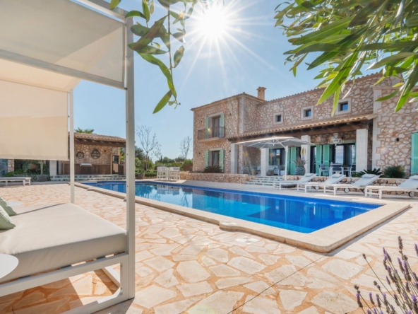 455b3933-d511-46a1-87c0-859f4a27c512