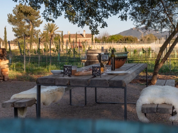 5ea8eb8f-47e3-4184-b5d3-663c2e79b40f