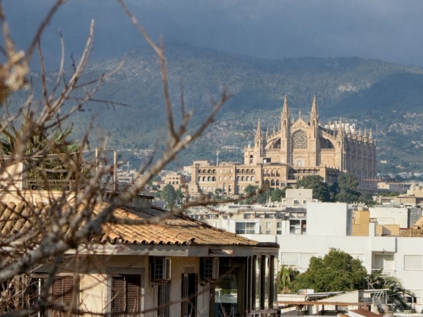 6WhatsApp Image 2026-01-10 at 14.32.18