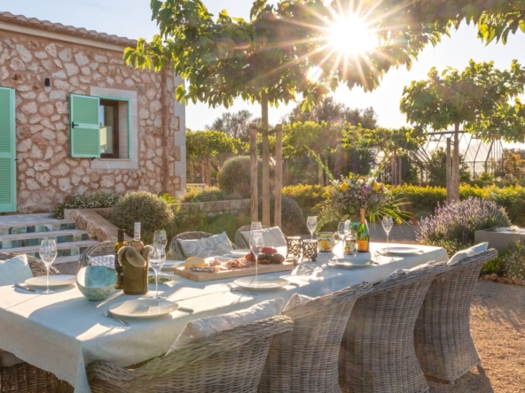 6c959275-1ac1-42a2-b828-9d0cd363d157