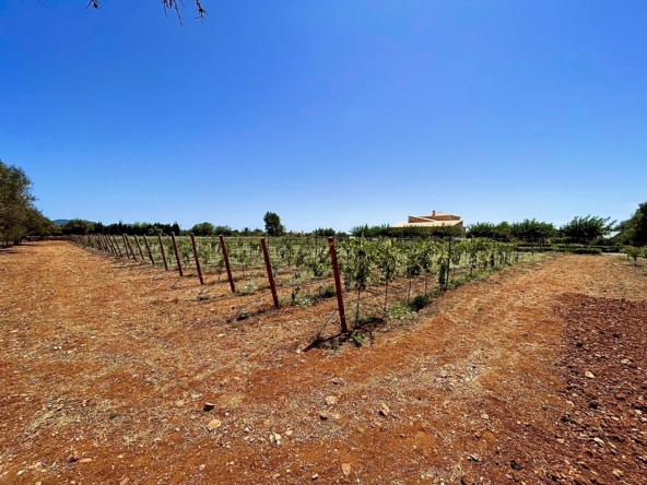 Weinfeld Tempranillo