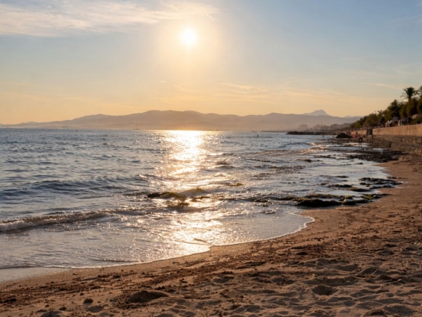 WhatsApp Image 2026-01-10 at 14.32.17